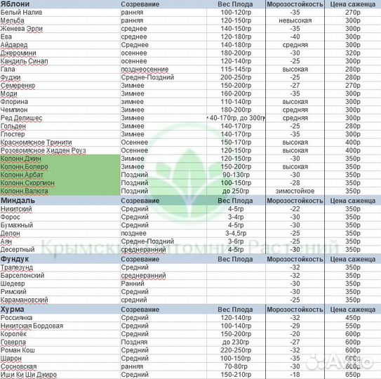 Саженцы плодовых и декоративных на осень 2023
