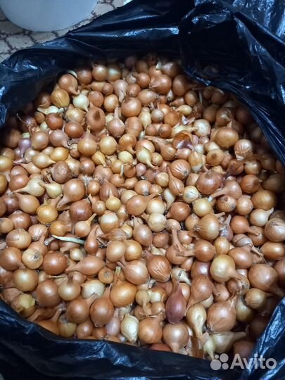 Семена для огорода