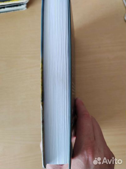 Пока мы были не с вами Лиза Уингейт