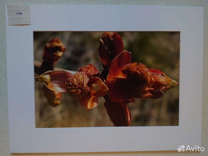 Фото пейзаж