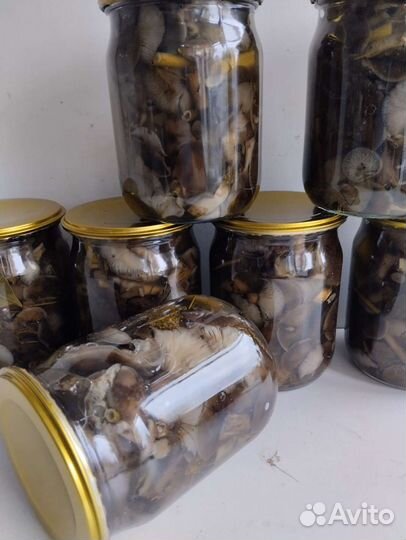 Грибы опята маринованные осенние 0/5