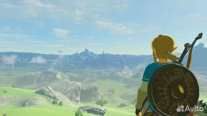 The Legend of Zelda: Breath of the Wild (N Switch)