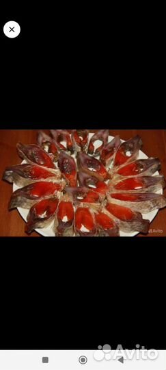 Вобла -сорога