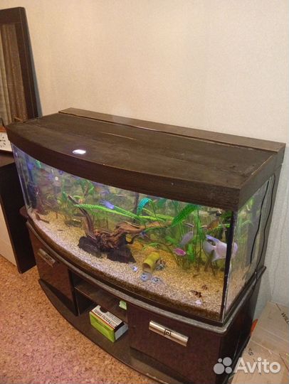 Аквариум Панорамный с тумбой