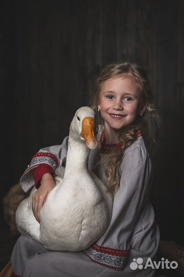 Детский фотограф, портретный фотограф