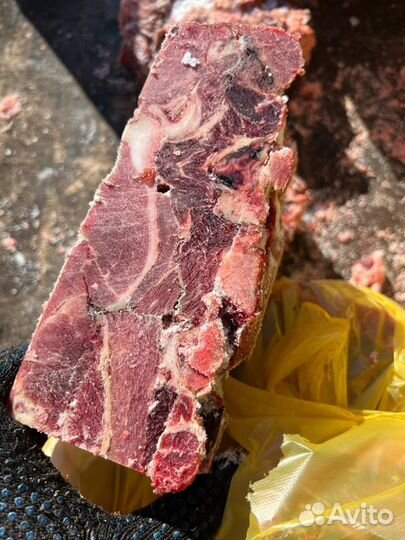 Мясо говядина котлетное с голов