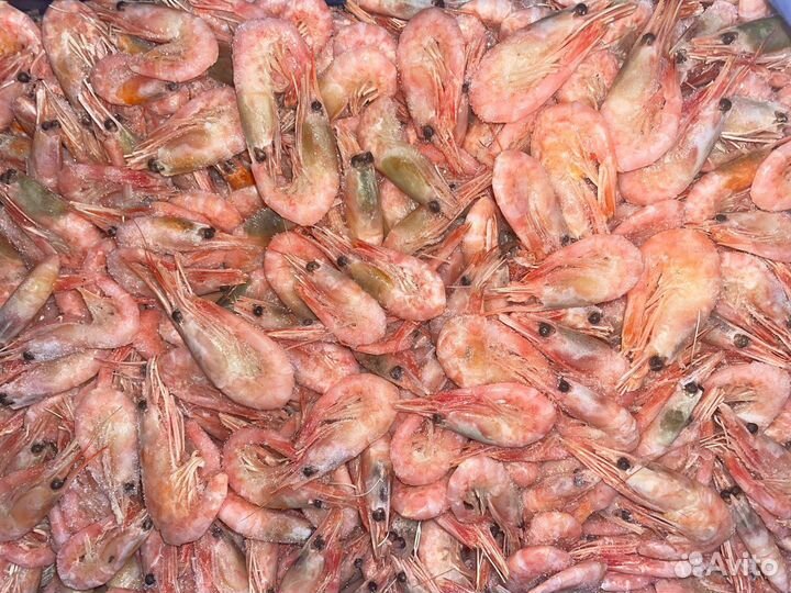 Креветка северная, варено-мороженая