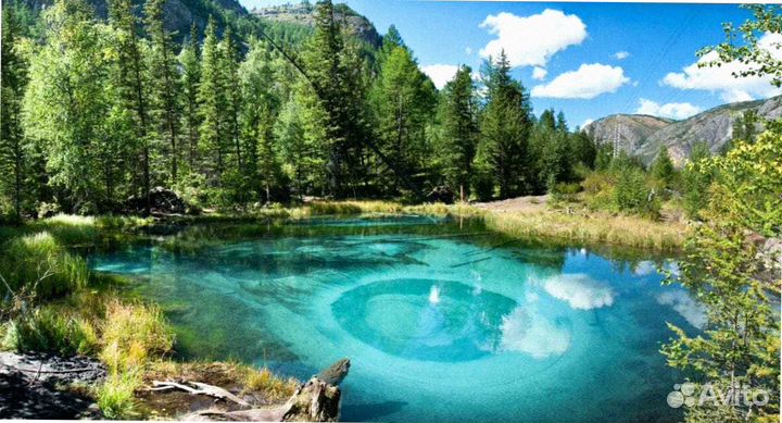 Путевка на Алтай летний экскурсия 6-8 дн