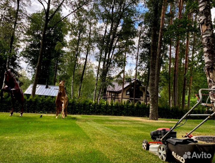 Рулонный газон от производителя