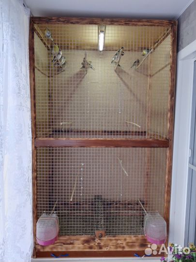 Вольер С птицей