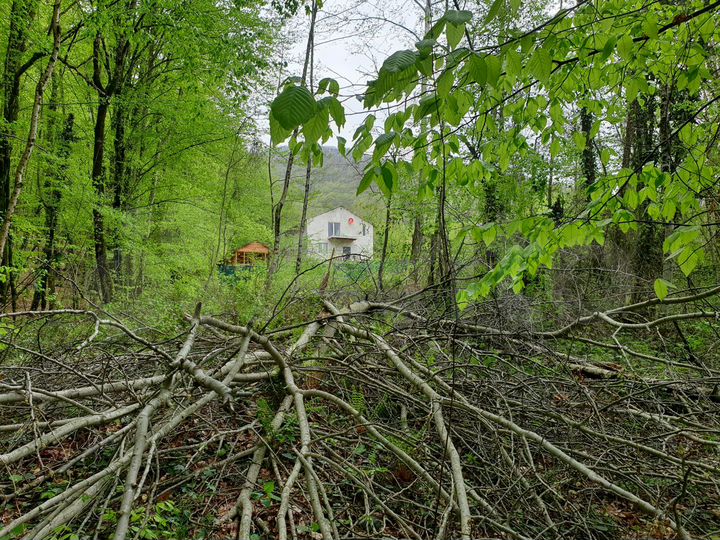 Участок 4,6 сот. (СНТ, ДНП)