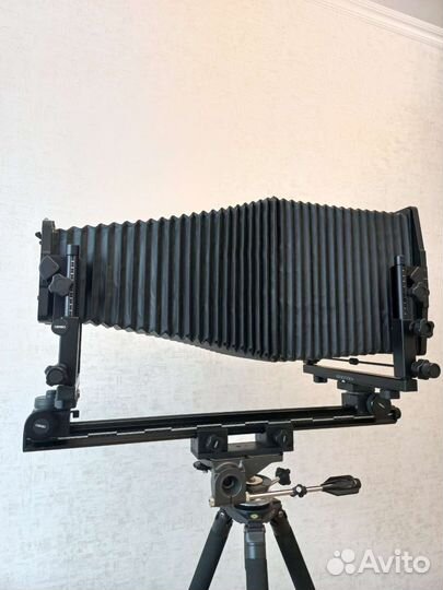 Камера большого формата Cambo 8x10 дюймов