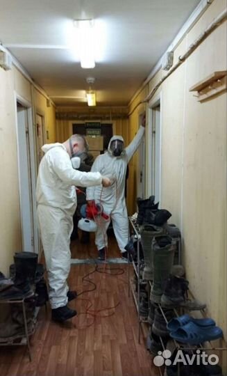 Уничтожение клопов тараканов клещей блох