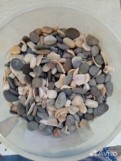 Галька морская разноцветная