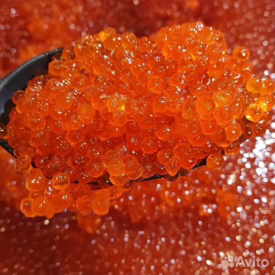 Красная икра Нерка 2023