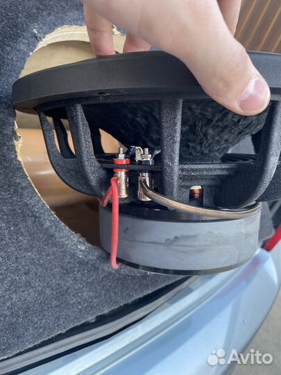 Горилла басс 12