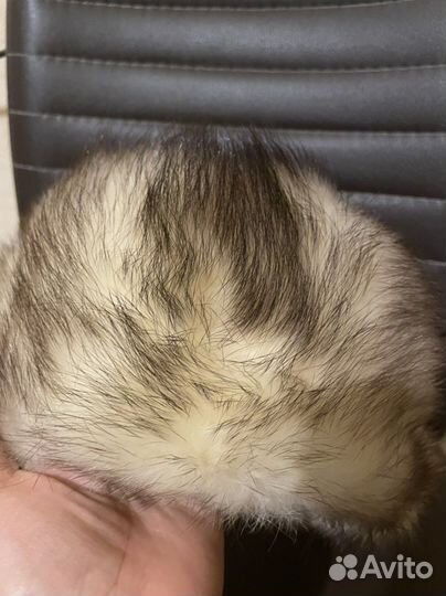 Мужская шапка из хорька