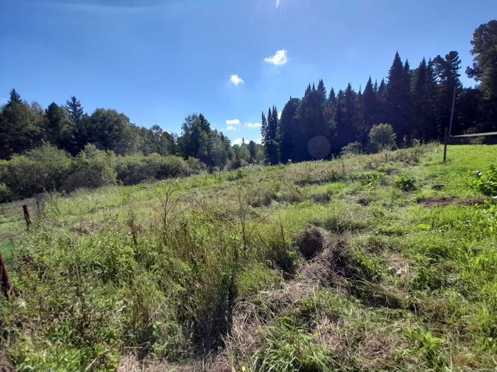 Участок 10 сот. (ИЖС)