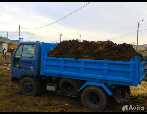 Перегной,навоз