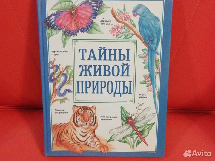 Энциклопедия школьника