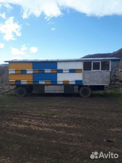 Пчело павильон