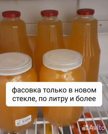 Домашний яблочный уксус