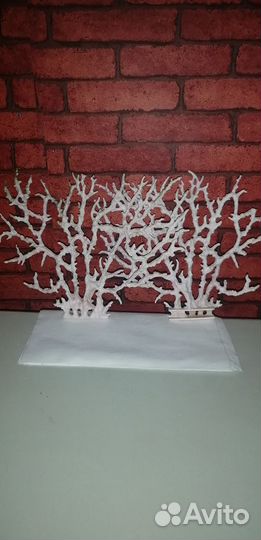 Караллы в аквариум