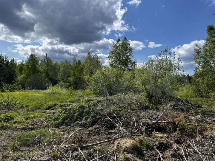 Участок 19,5 сот. (ИЖС)