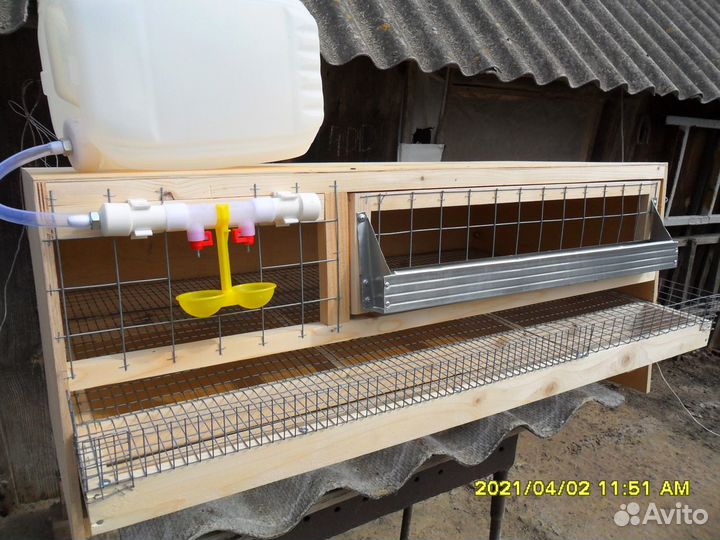 Клетки для перепелов