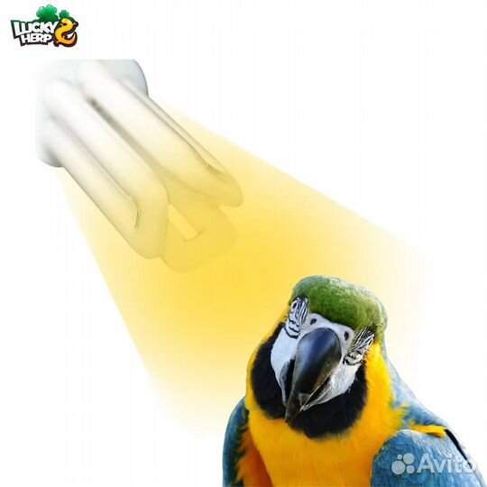 Уф лампа для птиц, 2.4 UVB, 12 UVA, 20W, Е27