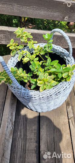 Корзина из ротанга 12л