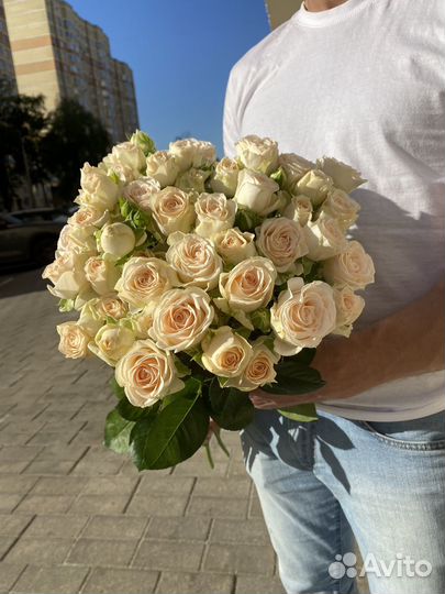 Кустовая роза