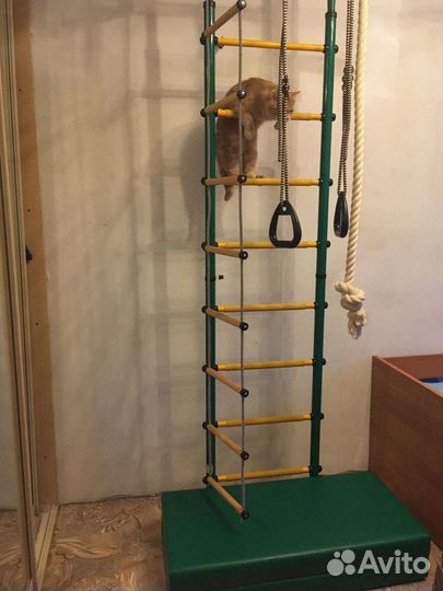 Шведская стенка