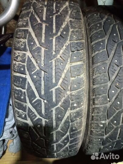 Tigar ICE 195/55 R15