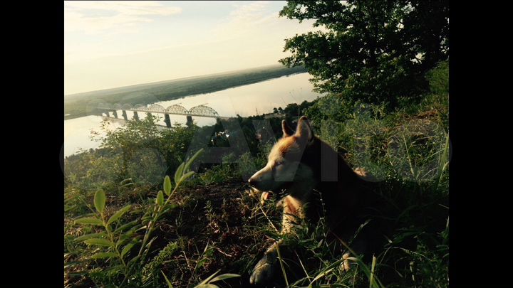 База отдыха