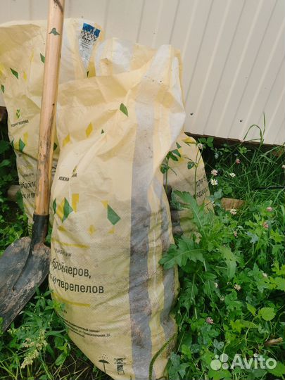 Птичий помет