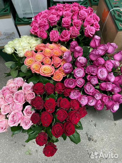 Роза без посредников. Букеты 15 - 101 роза