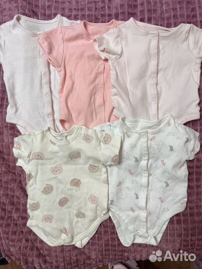 Боди 68 размер на девочку