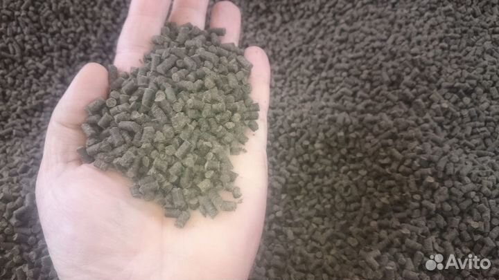 Корм для осетра