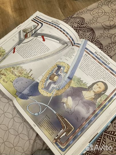 Дэвид Маколи. Как Все Устроено