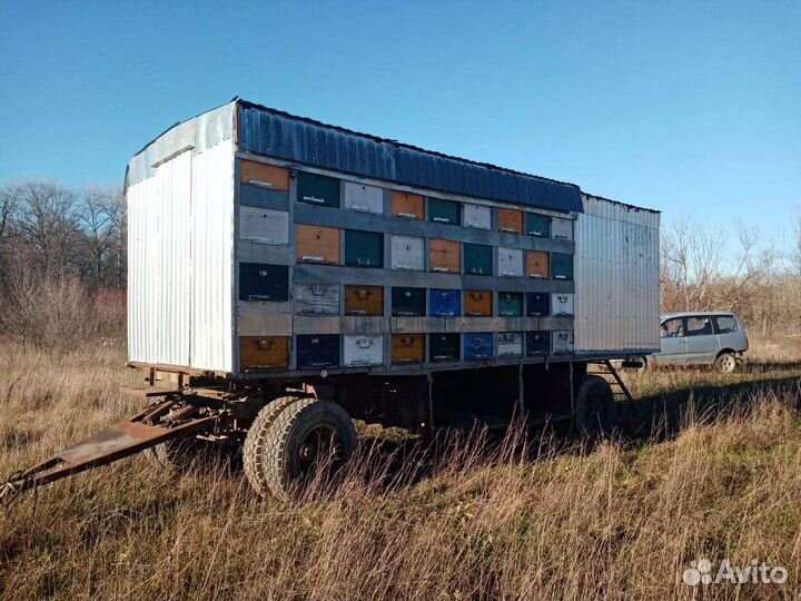 Прицеп пчеловодческий