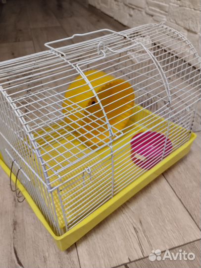Клетка для грызунов бу