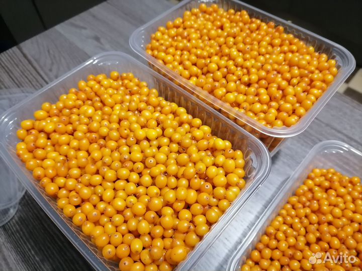 Облепиха свежая