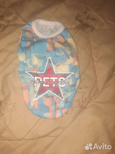 Одежда для собак