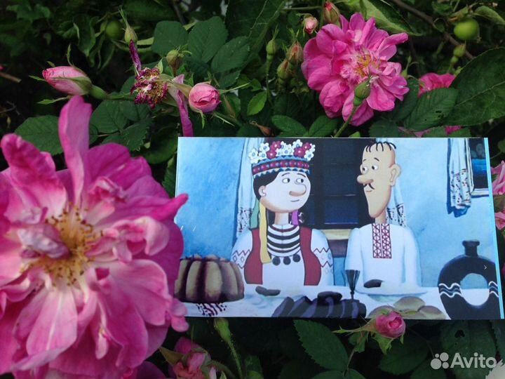 Приглашения на свадьбу