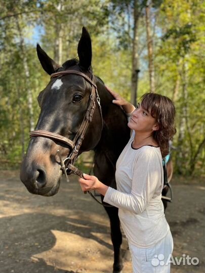 Катание на лошадях и пони
