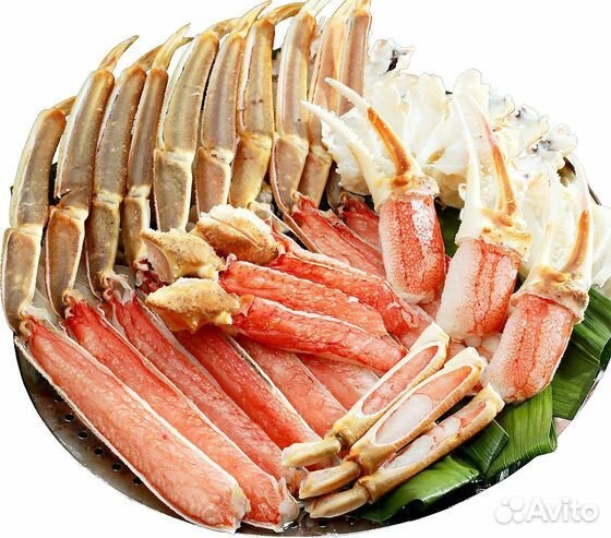 Краб, конечности краба. Стригун