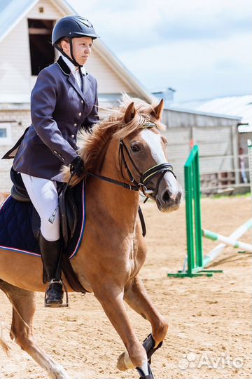 Пони в конкур