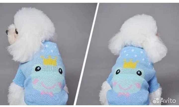 Одежда для животных