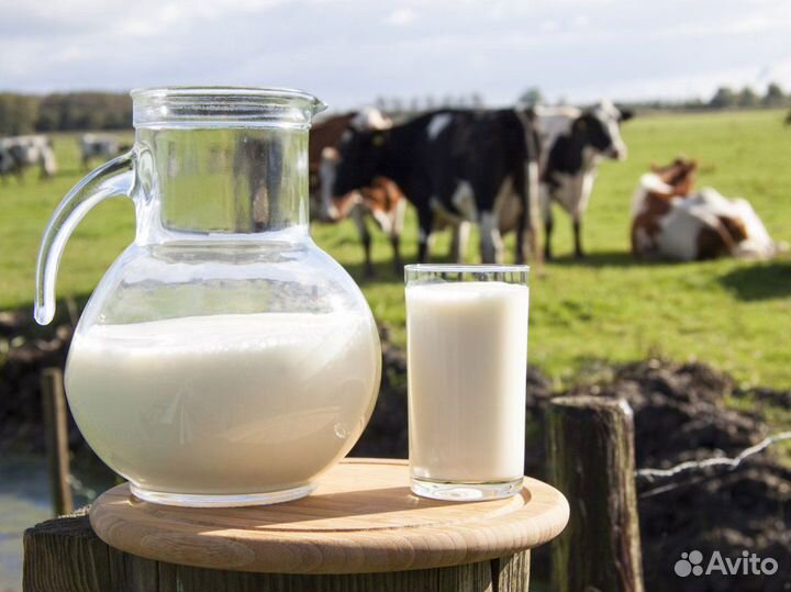 Молоко домашнее, молочная продукция